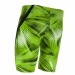 Michael Phelps Mesa Jammer Green