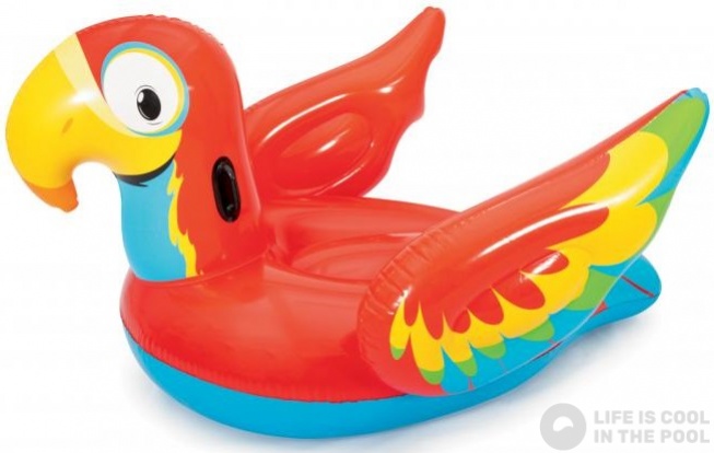 Inflatable Peppy Parrot