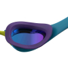 Speedo Fastskin Pure Focus Mirror